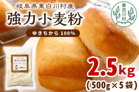 強力小麦粉 ゆきちから 2.5kg（500g×5袋） 岐阜県 東白川村産 小麦 国産 お取り寄せ 強力粉 小麦粉