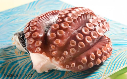 北九州 関門地たこ 2本 約360g