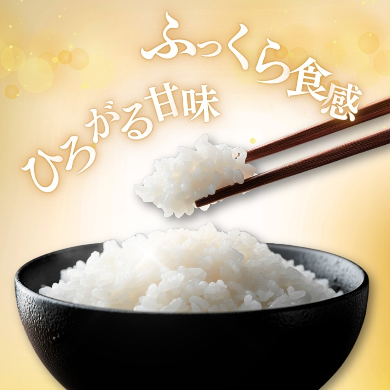 【9月上旬配送】上越市産 新潟 コシヒカリ 5kg こしひかり お米 精米 米 ご飯