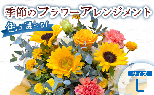 
            季節のフラワーアレンジメント L （選べるカラー イベント） | 花 お花 生花 フラワー フラワーアレンジメント 花束 お祝い 黄色 オレンジ 赤 ピンク 青 紫 母の日 父の日 クリスマス お正月 バレンタイン 配送地域限定 京都府 綾部市
          