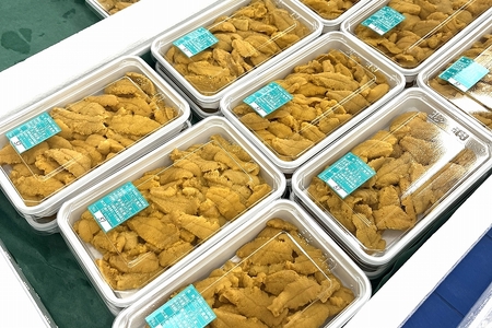津軽海峡産 生うに パック 100g×2
