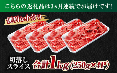 【3回定期便】 飛騨牛 切り落とし 1kg（250g×4P）すき焼き 焼肉 小分け 岐阜市 / 丸福商店[ANBO048]