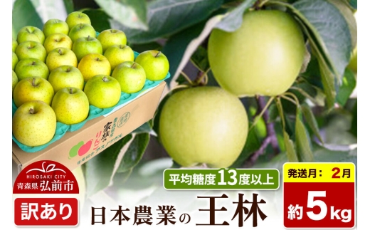 【27年2月発送】りんご 王林【訳あり】約5kg 平均糖度13度以上 青森県 弘前市 果物 フルーツ 林檎 リンゴ くだもの 不揃い 規格外 [先行予約 家庭用 産地直送 アップル 青森県 弘前市]