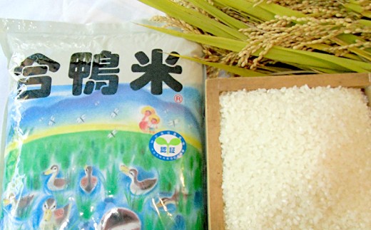 〈令和7年産〉合鴨米 白米 5kg【2025年10月上旬～2026年10月上旬発送予定】