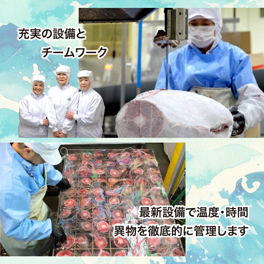 ねぎとろ使い切りパック　約500g（約40g×12パック）【DK011-500g】 500g