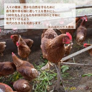 岡山美作の赤土台地でじっくり育てた季節の野菜約8種類と平飼い卵(6個入り)のセットです。【配送不可地域：離島】【1530200】