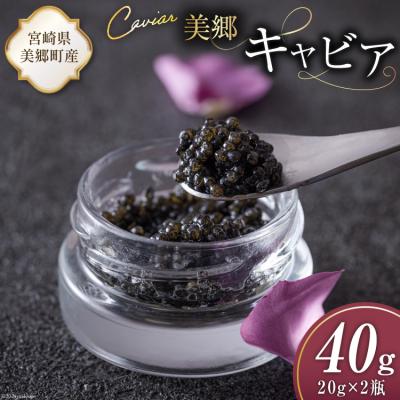 ふるさと納税 美郷町 美郷 キャビア チョウザメ 40g 宮崎キャビア 宮崎県 美郷町 きんかん [31az0013]