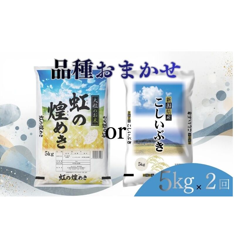 【ふるさと納税】【7月上旬より配送】 新潟県産 品種おまかせ 5kg 2か月定期便 新潟県 新潟市産 令和7年産 お米 精米 米 ご飯 送料無料　お届け：令和8年7月上旬から発送