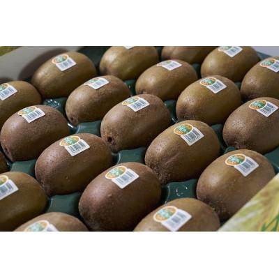 ふるさと納税 福岡市 【先行受付】福岡県産限定オリジナルキウイ・甘うぃ約3kg(福岡市返礼品) |  | 01