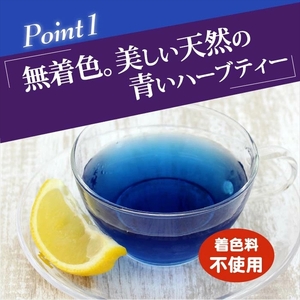 守山乳業 MORIYAMA バタフライピーティー 1000g × 6本 【 お茶 ハーブ ハーブティー おいしい ギフト プレゼント まとめ買い 神奈川県 南足柄市 】