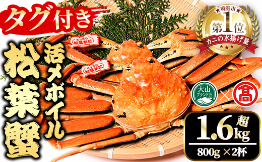 ＜土日祝着※指定日不可＞＜2025年11月～2026年2月下旬発送予定＞【タグ付き】活〆ボイル松葉蟹2杯セット(大・800g以上×2杯)【T-DT4-B】【大山ブランド会】