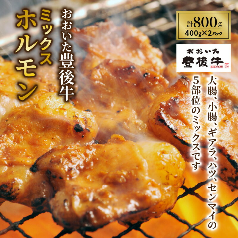 【ふるさと納税】おおいた豊後牛ミックスホルモン800g