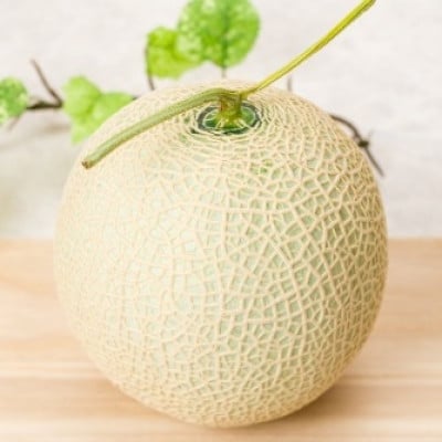 【生産量日本一】茨城県産 アールスメロン【特秀】1玉【配送不可地域：離島・沖縄県】【1596627】