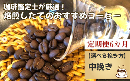 【毎月定期便6回】珈琲鑑定士が厳選！焙煎したてのおすすめコーヒー（中挽き） No.178-03