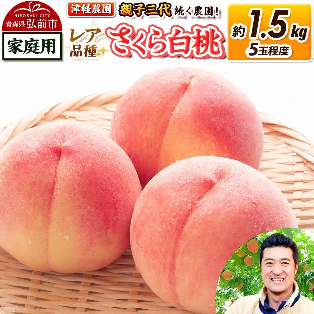 桃 さくら白桃 約1.5kg(5玉程度)【9月発送】桃