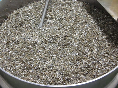 無添加 アーモンドフィッシュ 給食 250g×1袋【栄養機能食品】人気 カルシウム 小魚 おやつ おつまみ おすすめ 大容量 瀬戸内海産 かたくちいわし 美味しい おいしい 阿川食品株式会社 | A1