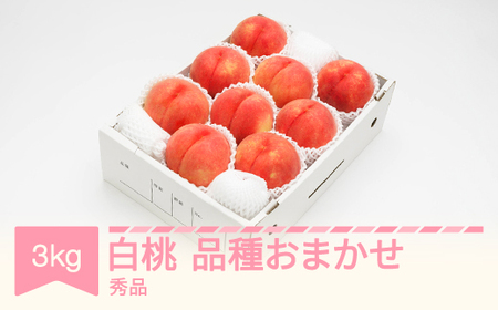 先行予約 白桃 秀品 品種おまかせ 化粧箱入り 約3kg 令和八年産 2026年産 山形県産 果物 フルーツ 桃 送料無料 ns-mohtx3