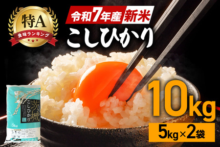 令和7年産 新米 コシヒカリ 米 10kg 白米 こめ こしひかり 国産 国産米 取り寄せ ごはん ご飯 コメ お取り寄せ お弁当 弁当 おにぎり 産地直送 特産 ギフト プレゼント 贈り物 茨城県 笠間市 いばらき FH-001
