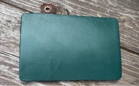 パスケース Bタイプ：斜め 緑