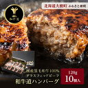 【ふるさと納税】和牛道ハンバーグ120g×10食セット【配送不可地域：離島】【1439972】