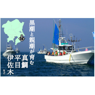 
釣り船乗船券1名様(10,000円分)【1395872】
