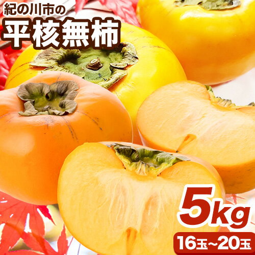 【先行予約】【ふるさと納税】平核無柿 5kg (16~20玉) こだまファーム《2025年9月中旬-11月中旬頃出荷》 和歌山県 紀の川市 柿 カキ かき 果物 フルーツ 送料無料