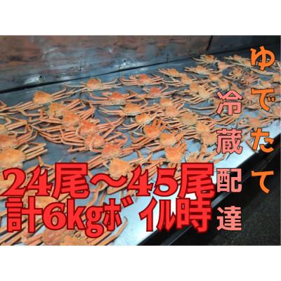 ふるさと納税 白老町 ゆでたて冷蔵便 24尾から45尾で6kg 訳あり オオズワイガニ(オス・メスおまかせ)
