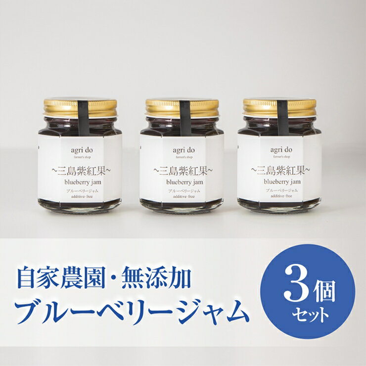 【ふるさと納税】 ブルーベリージャム 3個入り ブルーベリー フルール ジャム 果物 三島紫紅果 みしまぶるーべりー agri do 果実 静岡県 三島市