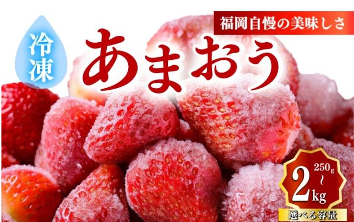 
                  【選べる】【 冷凍あまおう小分けパック250g~2kg(250g×1~8個）】｜いちご あまおう 福岡県産苺 いちご あまおう イチゴ 苺 あまおう 苺 数量限定 苺 いちご あまおう 福岡県産 苺 いちご あまおう 冷凍  ichigo strawberry あまおう いちご 苺 イチゴ 果物 くだもの フルーツイチゴ 苺 ichigo strawberry    国産
                
