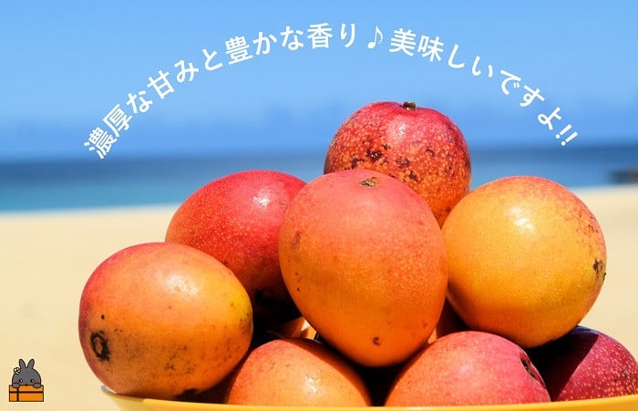 濃厚な甘みととろける食感！美味しさは贈答用と変わりません。