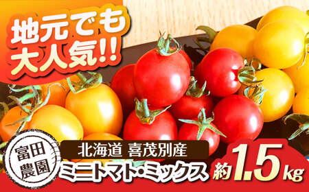 喜茂別産 ミニトマト 約1.5kg [AJAJ007] トマト 夏