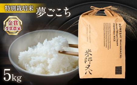 令和6年産 新米 夢ごこち 5kg (金賞受賞農家 2024年産 精米 特別栽培米 夢ごこち 精米 特別栽培米 夢ごこち 精米 特別栽培米 夢ごこち 精米 特別栽培米 夢ごこち 精米 特別栽培米 夢ごこち 精米 特別栽培米 夢ごこち 精米 特別栽培米 夢ごこち 精米 特別栽培米 夢ごこち 精米 特別栽培米 夢ごこち 精米 特別栽培米 夢ごこち 精米 特別栽培米 夢ごこち 精米 特別栽培米 夢ごこち 精米 特別栽培米 夢ごこち 精米 特別栽培米 夢ごこち 精米 特別栽培米 夢ごこち 精米 特別栽培米 夢ごこち