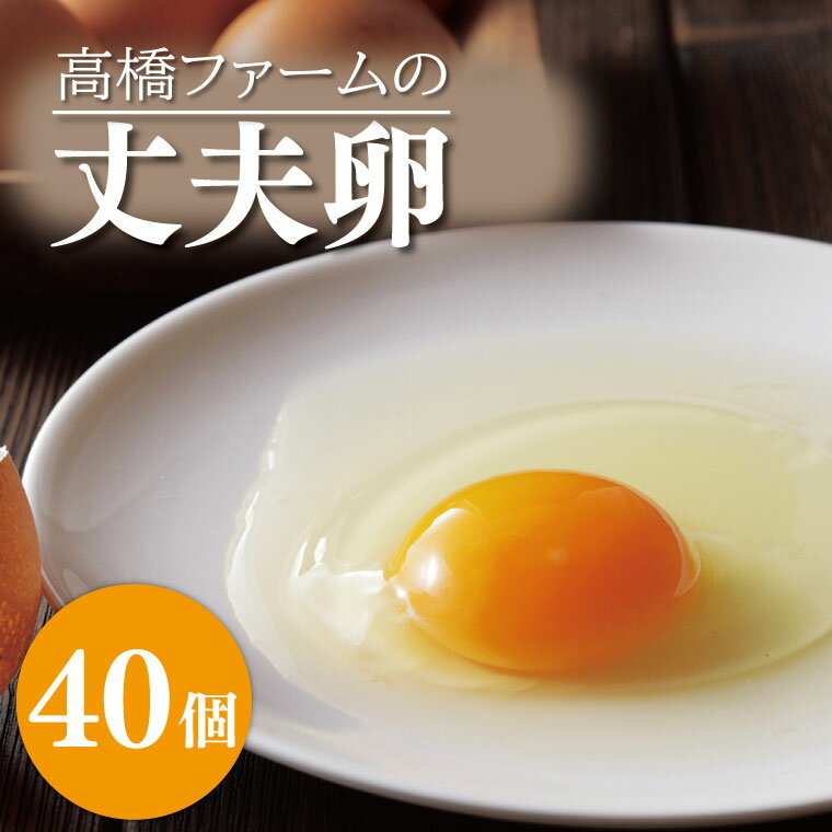 【ふるさと納税】高橋ファームの丈夫卵40個入り(AQ003-1)