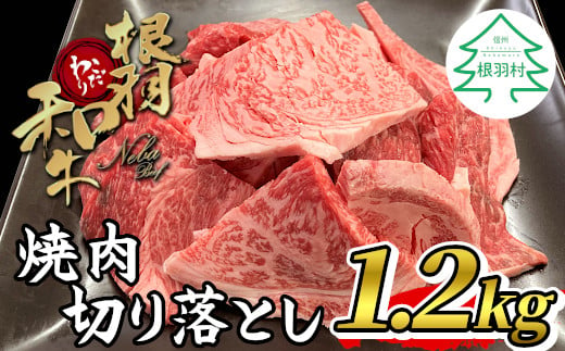 大人気！根羽こだわり和牛 焼肉切り落とし 1.2kg ( 600g×2 ) リブロース カタロース モモ カタ バラ ウデ 焼肉用 切り落とし 20000円