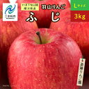 【ふるさと納税】 《2024年11月下旬以降順次》羽山のりんご　ふじLサイズ3kg りんご 果物 フルーツ 羽山りんご 3kg ふじ 人気 くだもの おすすめ お中元 お歳暮 ギフト 二本松市 ふくしま 福島県 送料無料 【斎藤りんご園】