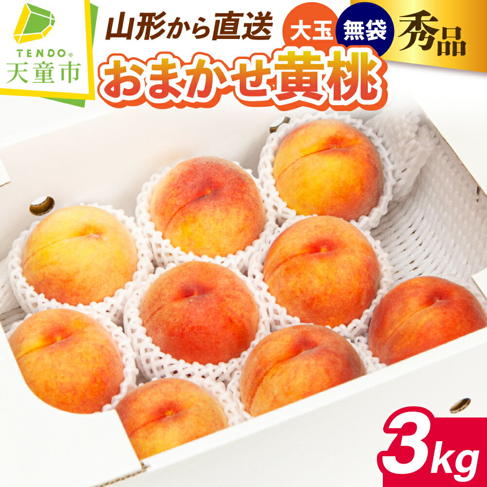 【ふるさと納税】もも ( 大玉 黄桃 ・ 無袋 ) 約 3kg 秀 6～11玉 品種おまかせ 令和8年産 先行予約 2026年 桃 黄色 人気 おすすめ フルーツ 果物 くだもの 山形 お取り寄せ 産地直送 送料無料 【 山形県 天童市 】