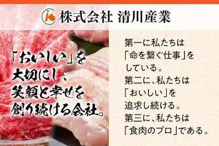 豚肉 ステーキ 焼肉【F】ふくよか豚 ステーキ焼肉セット ロース 肩ロース バラ 小分け ブタ肉 ぶた肉 冷凍 福岡県 福岡 九州 グルメ お取り寄せ