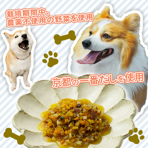 鳥取大山　がいな鶏のそぼろ煮 120g×3袋 栄養補完食 ドッグ キャット  犬 猫 無添加 グルメ 食べやすい ミンチ ドックフード キャットフード ペットフード 福知山市 京都