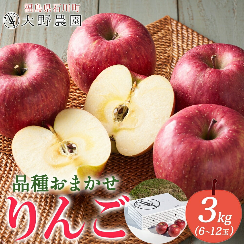 【ふるさと納税】りんご3kg 品種お任せ 6～12玉 ｜ リンゴ 旬 ランダム 林檎 果物 フルーツ 甘い アップル 産直 大野農園 福島県 石川町【19010】