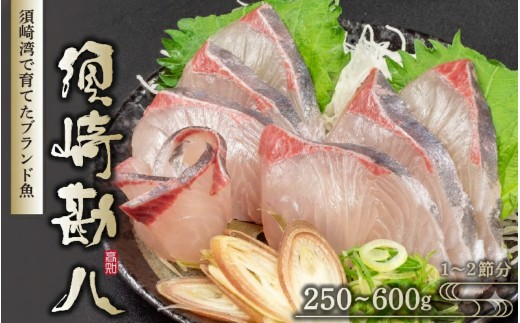 
                  【選べる容量】 須崎勘八 250g ～ 600g  勘八 環八 カンパチ かんぱち ブランド 魚 鮮魚 冷凍 海鮮 刺身 さしみ 刺し身 人気 おすすめ さかな 新鮮 しんせん 本場 焼き魚 料理 簡単調理 背 腹 下処理有 年末 正月 おせち 小分け 便利 べんり 高知県 須崎市 NS028ALL
                
