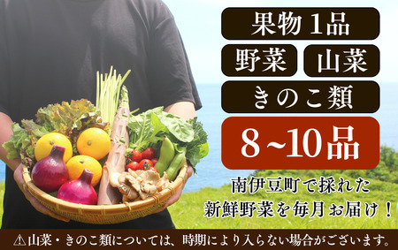 旬の野菜と果物セット　【 野菜 】
