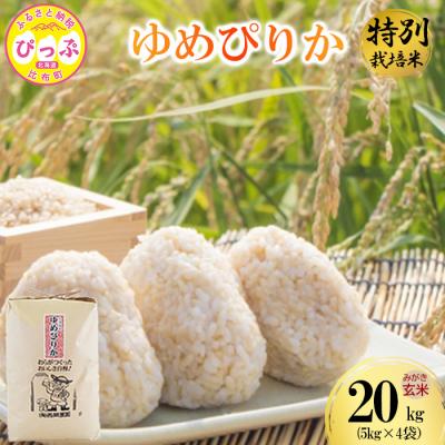ふるさと納税 比布町 令和7年産 特別栽培米 ゆめぴりか みがき玄米 20kg(5kg×4) 【西間農園】