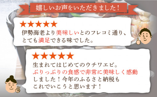 【12回定期便】ウチワエビしゃぶしゃぶA刺身・半身セット 600g【ひばり】[KAA233]/ 長崎 平戸 魚介類 海老 エビ ウチワエビ 季節限定 ご当地 グルメ 刺身 しゃぶしゃぶ 定期便