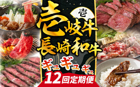 【全12回定期便】《50万》 壱岐牛＆長崎和牛 ギュギュギュ 定期便 （壱）《壱岐市》[JZX010] 牛肉 定期便 牛肉 定期便 牛肉 定期便 牛肉 定期便 牛肉 定期便
