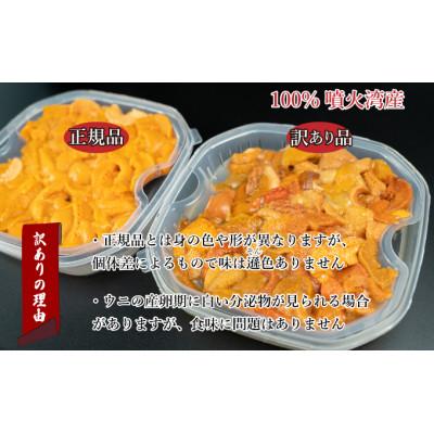 ふるさと納税 伊達市 訳あり 北海道 噴火湾産 塩水 バフンウニ 100g×3パック 計300g |  | 01