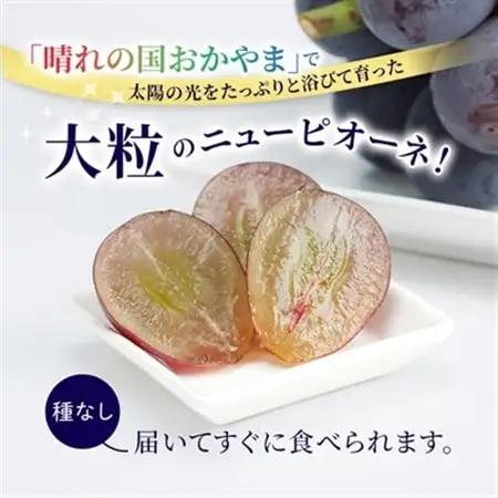 晴れの国　おかやまのニューピオーネ　2kg(3房～5房)_果物・フルーツ ぶどう・マスカット  ブドウ 葡萄 _【配送不可地域：離島】【1074126】