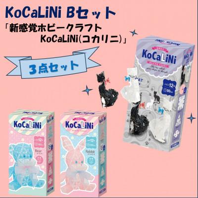 ふるさと納税 大淀町 KoCaLiNi Bセット