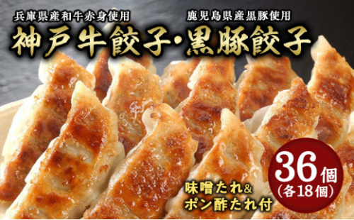 【兵庫県芦屋市】【ふるさと納税】神戸牛餃子・黒豚餃子 各1折セット【冷凍 ぎょうざ ギョ−ザ 中華 点心 惣菜 ギフト お中元 お歳暮】