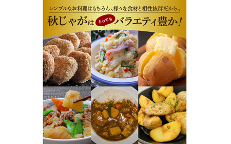 【四国一小さなまちのじゃがいも】★令和５年１２月中旬発送開始★ 大野台地で採れた『 令和５年産 秋じゃが 』 １０ｋｇ　～ 訳あり ～