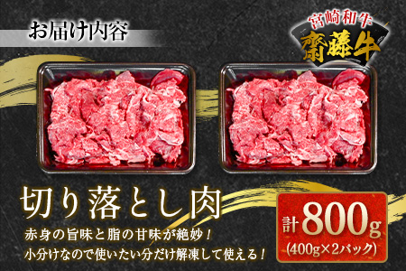 宮崎和牛『齋藤牛』切り落とし肉 計800g (400g×2パック) 【B548】
